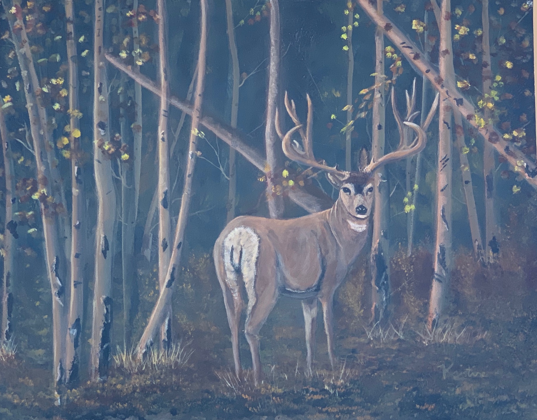 Original oil painting of a mule deer buck in a moonlit aspen forest by Kristine Novinskie.