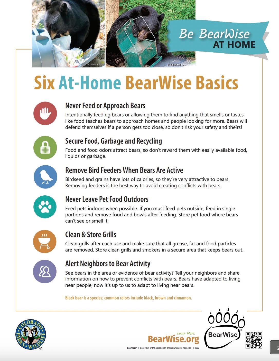 Six At-Home BearWise Basics infographic