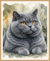 Fine art watercolor portrait of Mochi, a gray British shorthair cat
